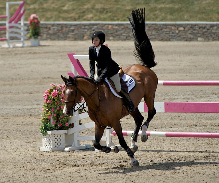 Equestrian Jumping  1075